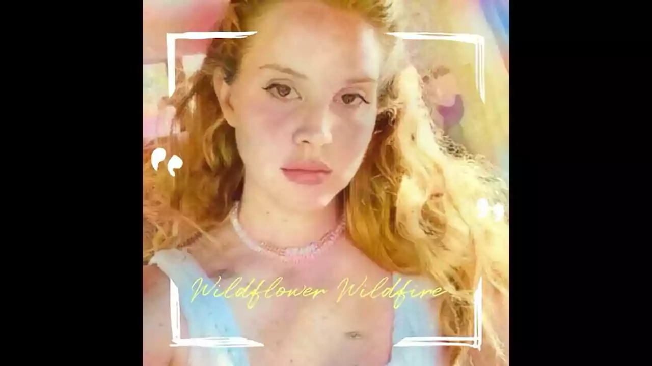 Wildflower Wildfire Lyrics Lana Del Rey Latest English Song