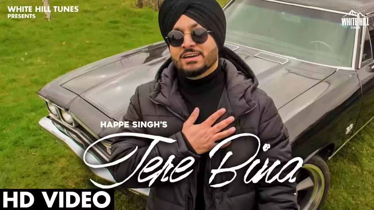 Tere Bina Lyrics Happe Singh latest Punjabi song