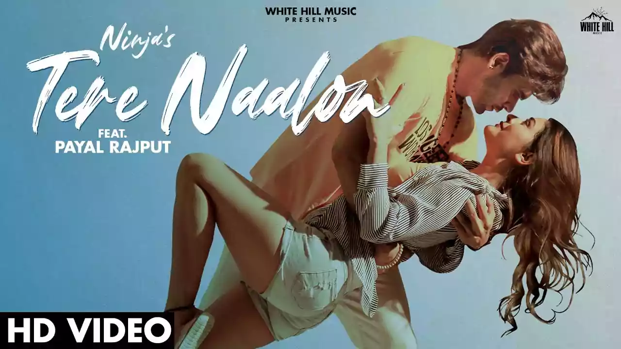 Tere Naalon Song Lyrics New In Punjabi by Ninja