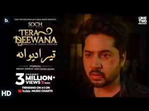Tera Deewana Lyrics Adnan Dhool