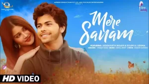 Mere Sanam Lyrics Yasser Desai 