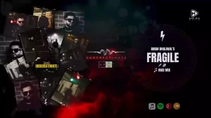 Fragile Lyrics Aman Dhaliwal