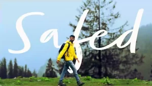 Safed Lyrics Mayank Pawani
