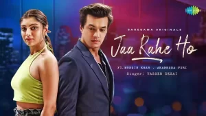 Jaa Rahe Ho Lyrics Yasser Desai