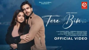 Tere Bin Lyrics - Yasser Desai