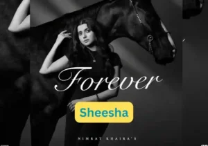 Mere Naal Song Lyrics By Nimrat Khaira