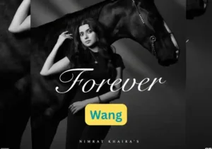 Wang Lyrics By Nimrat Khaira